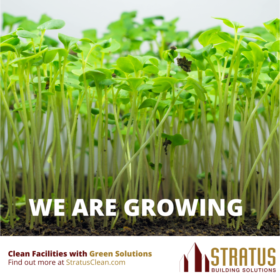 Growing Green Grass with Text We are Growing with Stratus Footer
